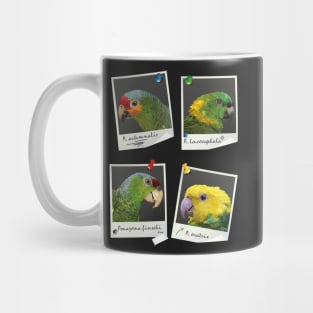 Amazon parrots Mug